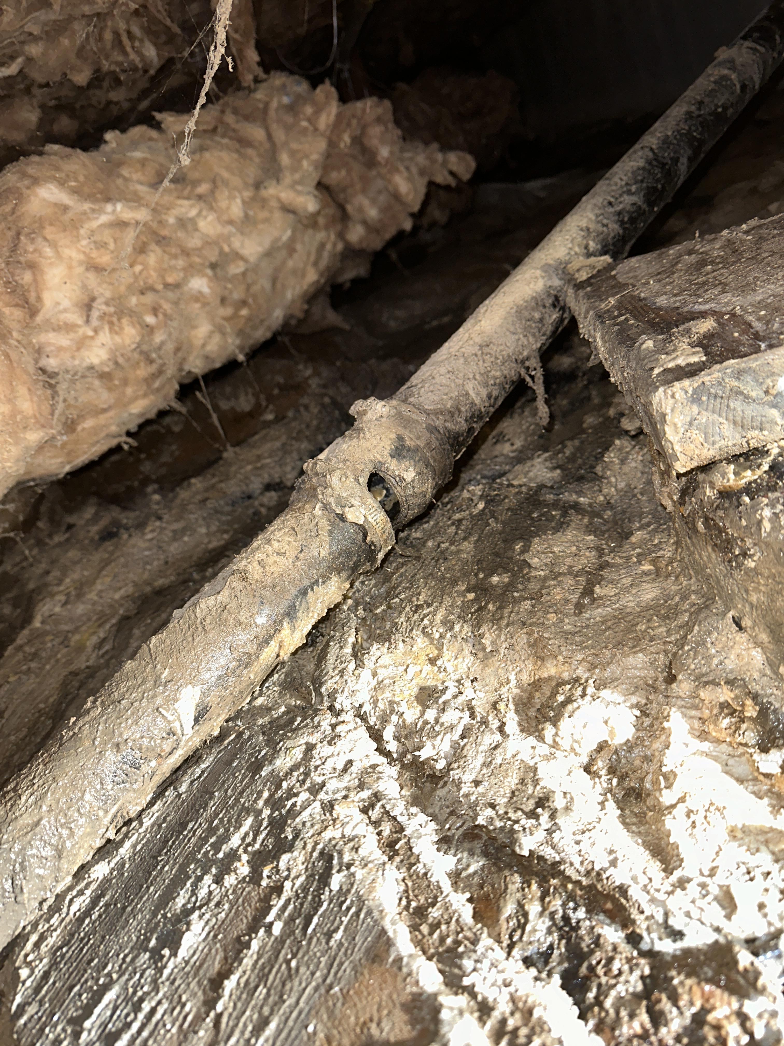 Damaged pipes with mold growth in crawl space