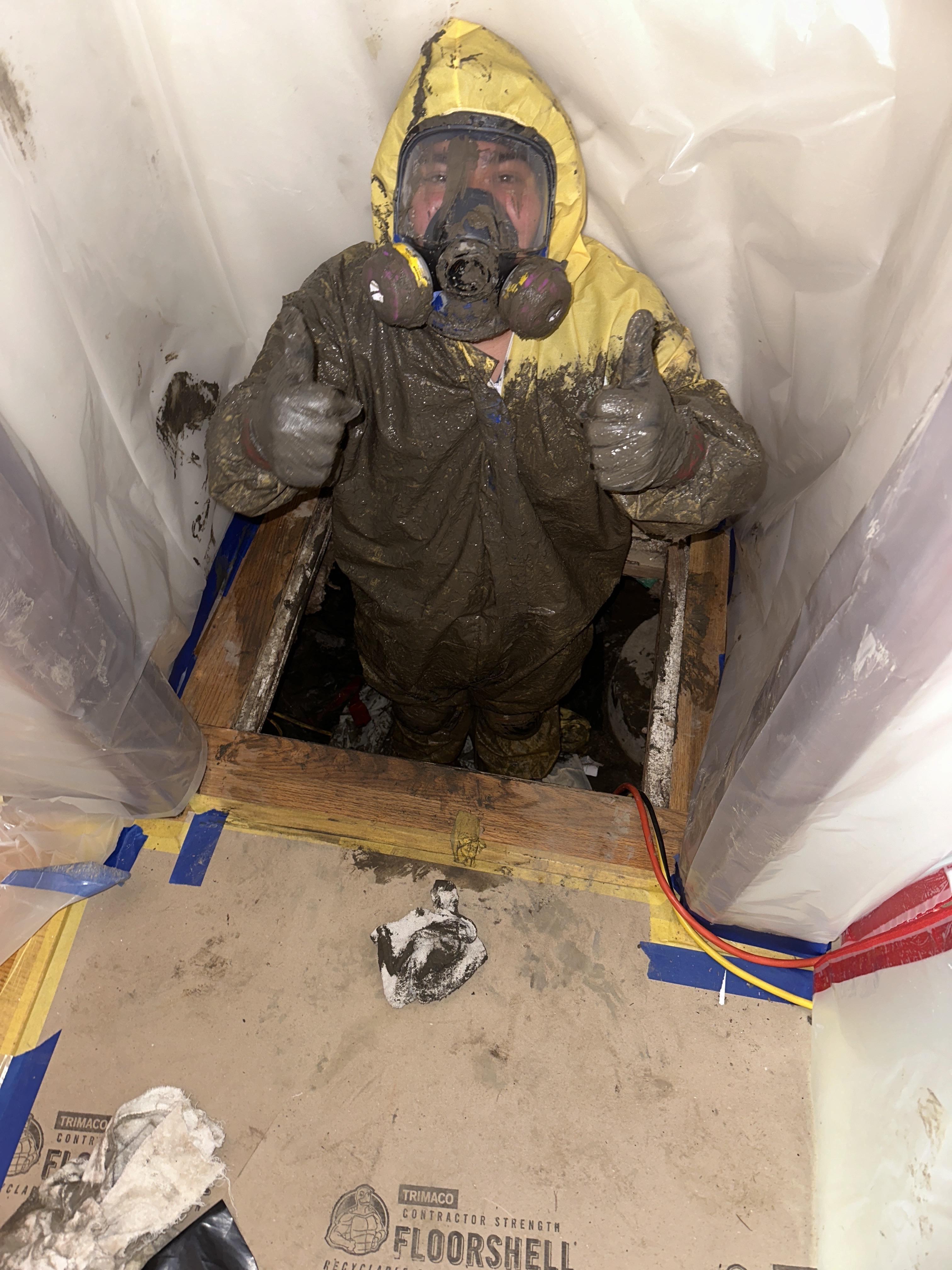 Mold remediation technician in full hazmat suit